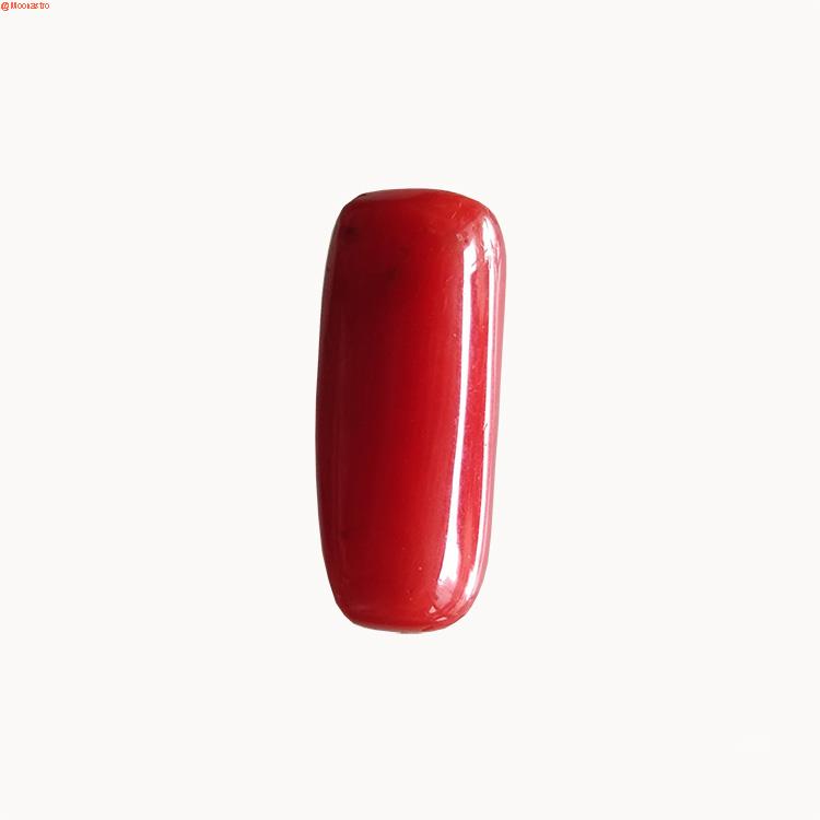 Red Coral Premium